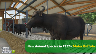 Water Buffalo – A New Animal Species in FS25